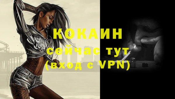крисы Медвежьегорск