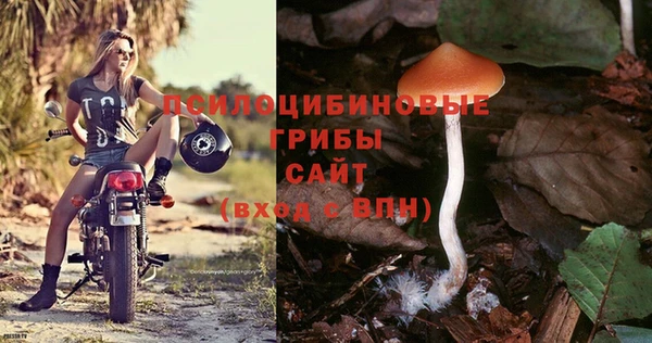 крисы Медвежьегорск