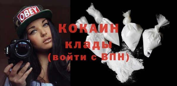 крисы Медвежьегорск
