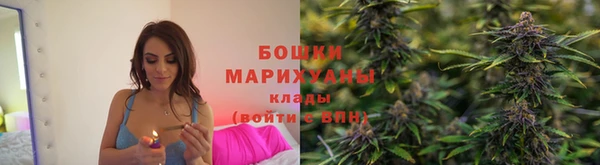 крисы Медвежьегорск
