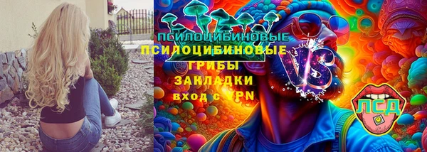 крисы Медвежьегорск