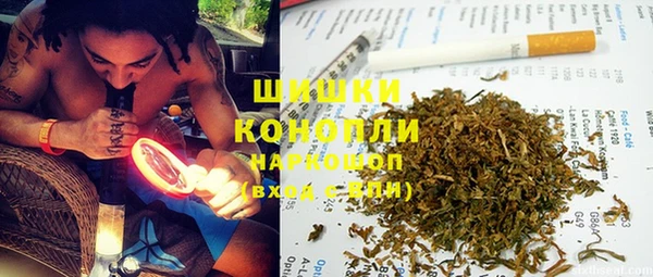 крисы Медвежьегорск