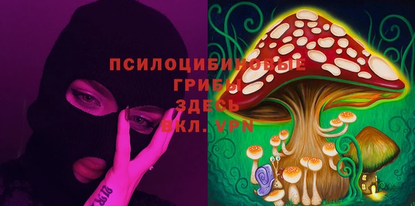 крисы Медвежьегорск